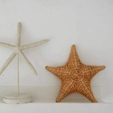 Σπίτι διακοπών ,nerja, Seaview, Pool, 3 Bedrooms, Huge Terrace And Garden Nerja