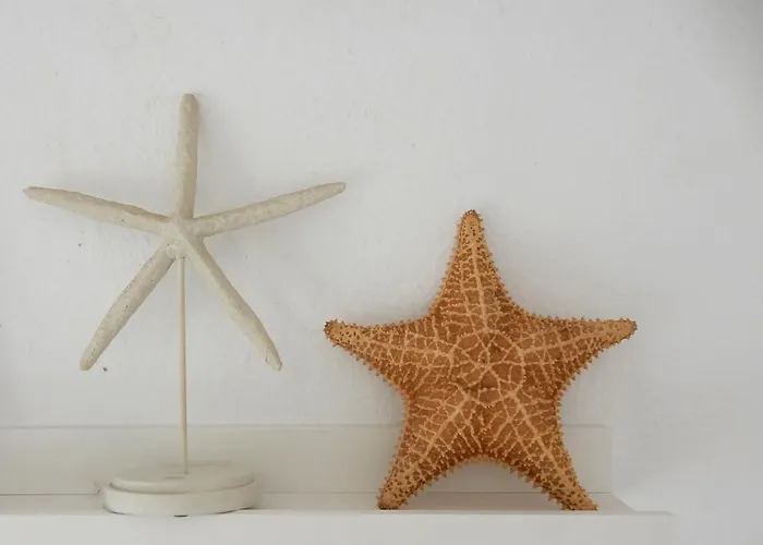 別荘 ,nerja, Seaview, Pool, 3 Bedrooms, Huge Terrace And Garden ネルハ